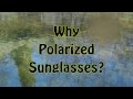 TROUTSIDERS: Why Polarized Sunglasses?