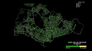 Traffic Flow Visualization of Singapore Over 24 Hours