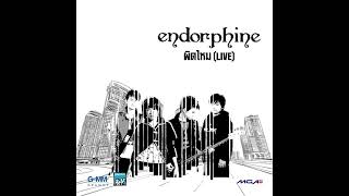 Endorphine - ผิดไหม (Live) [ฟาเรนไฮธ์ AI Cover]