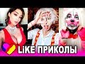 ЛУЧШИЕ ВИДЕО ЛАЙК 2019 Подборка | ПРИКОЛЫ Like Самые Няшные и Прикольные Видео