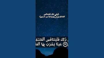 تلاوه خاشعه تدمع لها القلوب | محسن خفاجي