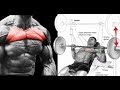 12  best exercices upper chest haut des pecs