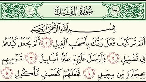 105 سورة الفيل (AlFil) بصوت الشيخ محمد صديق المنشاوي