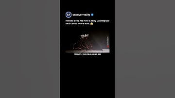 Innovative Robotic Bees Are Here And They Can Replace Real Bees. Here