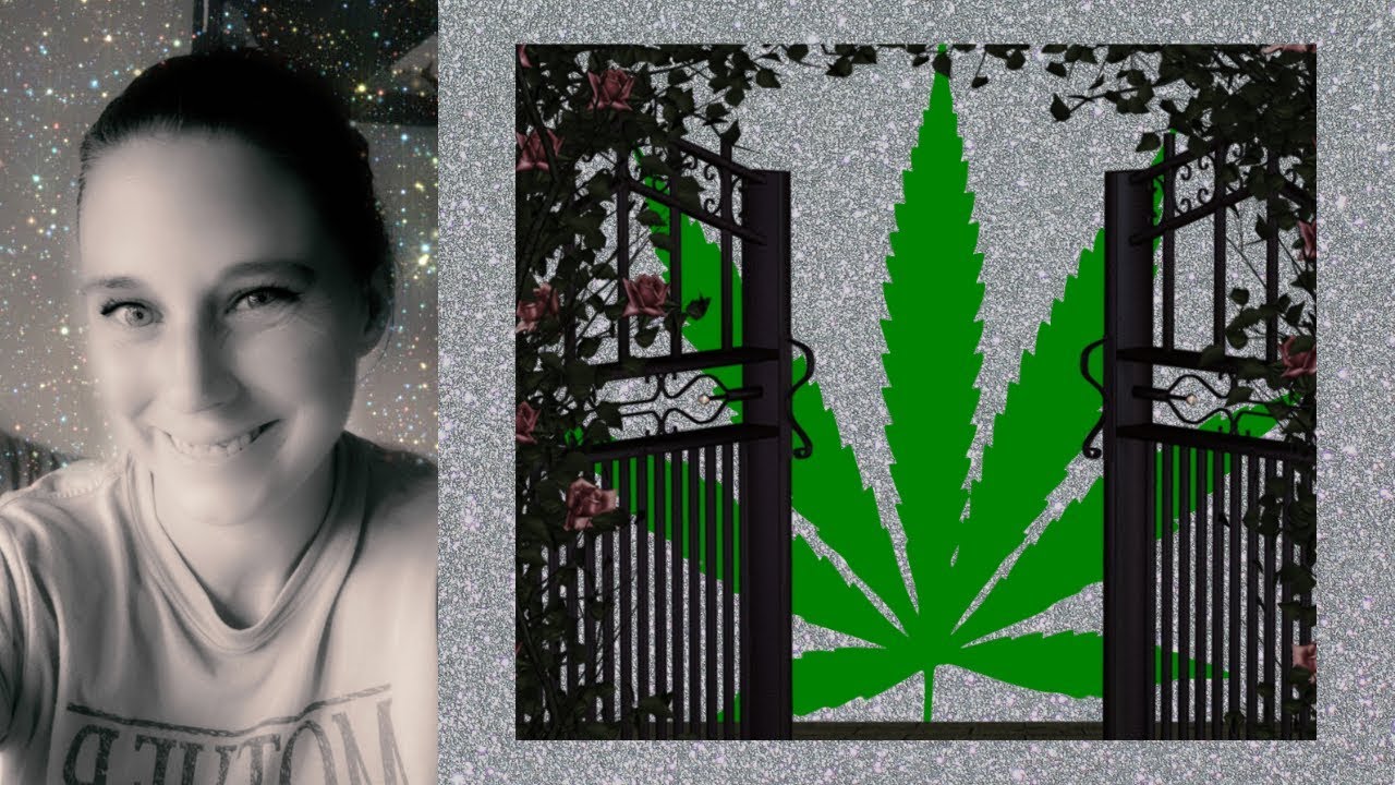 Marijuana a Gateway Drug (and it's our fault) my addiction show