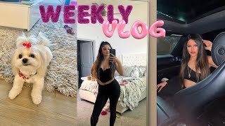 DAY IN MY LIFE LIVING ALONE | back in routine + hauls + grwm girl talks & more 💕