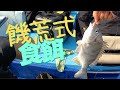 饑荒式食餌 x 外海 【艇釣日誌】香港釣魚
