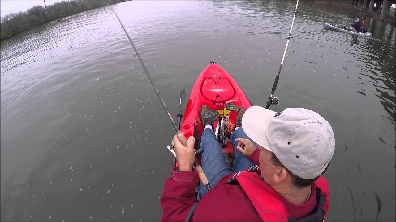 shad fishing the James River YouTube