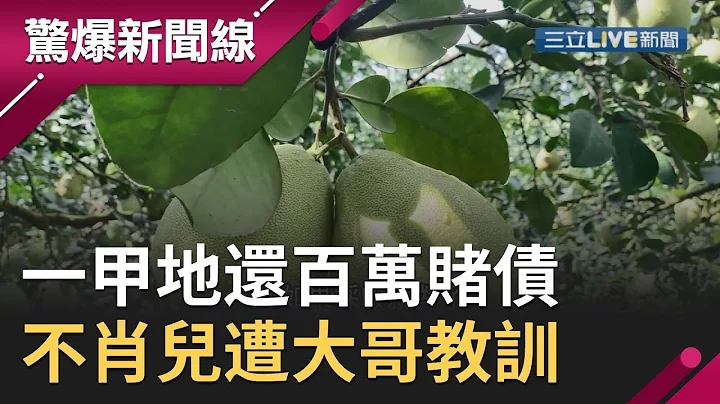 逼爸爸用一甲“柚子地”还百万赌债　不肖儿遭“大哥”狠教训再也不敢了…│【惊爆大解谜】│三立新闻台 - 天天要闻