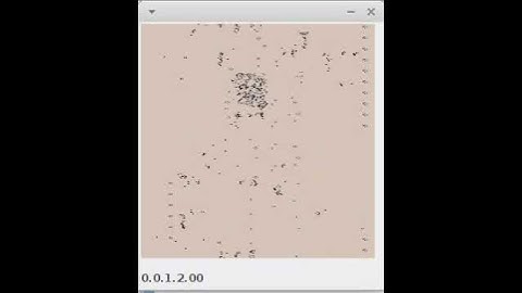 Cellular Automaton - 