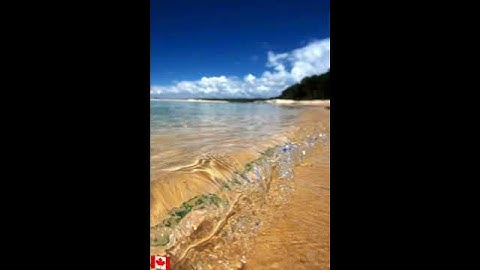 Thumbnail of Pisando Descalço  Maneva (PRA STATUS)