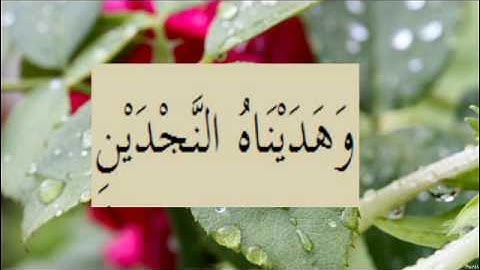 القران الكريم سورة البلد الاية 10
