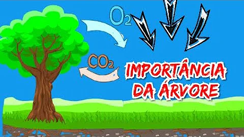 Qual é o objetivo da comemoração do Dia da Árvore?