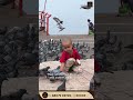 Give your child the gift of nature 🐦🌿