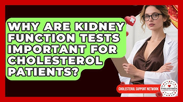 Why Are Kidney Function Tests Important For Cholesterol Patients? - Cholesterol Support Network