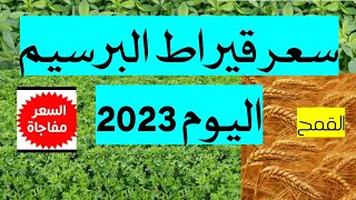 سعر قيراط البرسيم هذا الموسم 2023