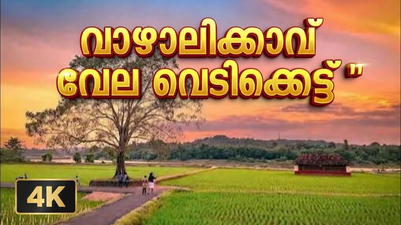 വാഴാലിക്കാവ് വേല വെടിക്കെട്ട് 2026 4K