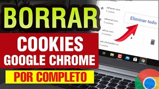 ¿Cómo eliminar las cookies del navegador?