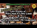 Mary Had A Little Lamb&戦場のメリークリスマス をミックス即興アレンジ演奏【ひつじのショーンビレッジ ショップ&カフェ】