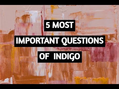 5 most important questions of INDIGO