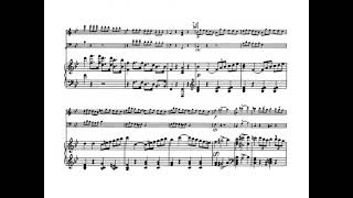 Franz Schubert - Sonatensatz in B Flat, D. 28