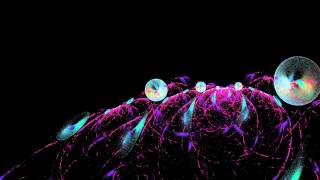 Flame Fractal - Bubbles 336088696