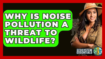 Why Is Noise Pollution A Threat To Wildlife? - Ecosystem Essentials