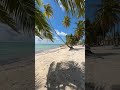 Island Life 🌴☀️☀️ #dominicanrepublic #travel #beach #vacation #saonaisland #island #beachlife