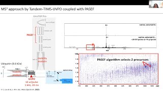 Fanny Caroline Liu: Advancing Top Down Protein Analysis by Tandem TIMS MS Approaches
