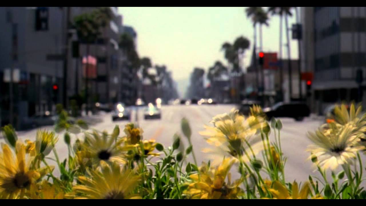 WALPERION MUSIC - The Flow