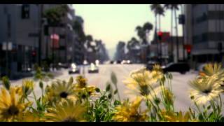 WALPERION MUSIC - The Flow