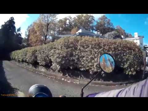 EDR November #18 2016 Cars Appeared In A Good Timing