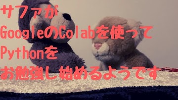 【サファのColabでPython学習 - 1】GoogleのColabを使ってPythonを触ってみるよ！