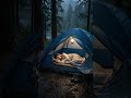 🌲 Cozy Rain Camping at Night – Thunder, Tent & Campfire Sounds
