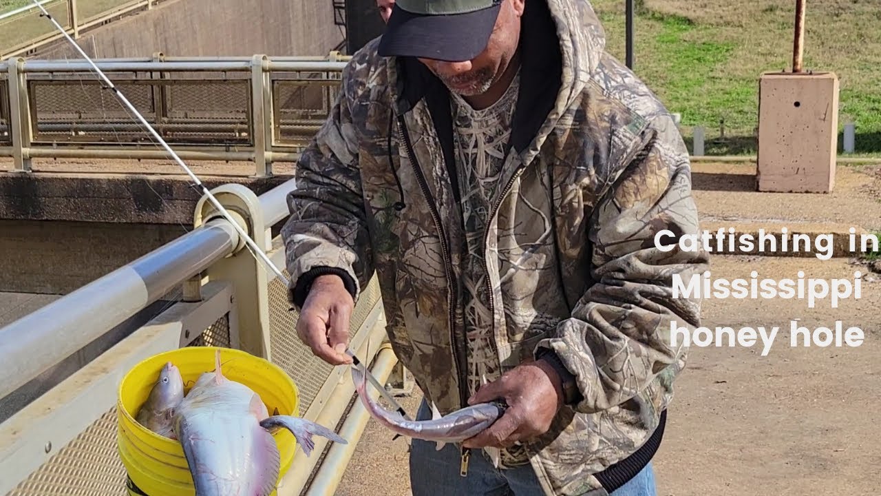 Catfishing in Mississippi honey hole Vlog YouTube