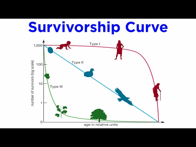 Critical Age Structure Diagram Cons and Limitations 3 sddefault