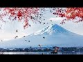 11 TRACK FUJIYAMA MY MOUNTAINS МОЇ ГОРИ 