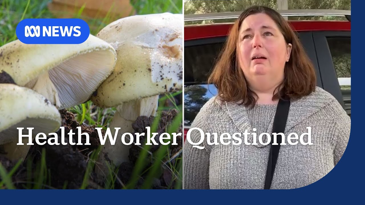 Public health worker questioned over mushroom poisoning investigation | ABC NEWS