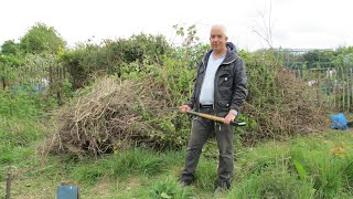 Allotment Clear Up   Clearing up the hedges and borders   First step of many