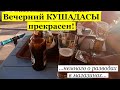 ВЕЧЕРНИЙ КУШАДАСЫ \ Как часто разводят на мелочь в магазинах