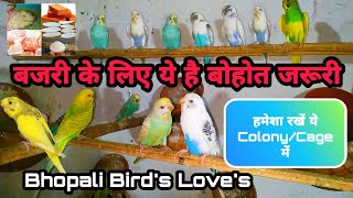 Budgies ke liye jaruri//बजरी के लिए जरूरी//Bhopali Bird's lover's