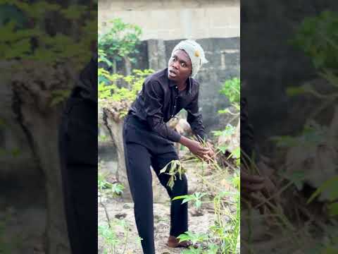 Cat Funny Diamond Comedy Viral Memes Viralvideo Laugh Ivan Wakunze Duet Humour 