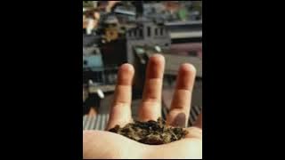 TAVIN- UM MERO BOOMBAP.