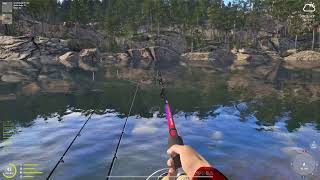 Acrobatic Lake Trout. A 4 Kg Lake Trout Jumps Three Times At Kouri.