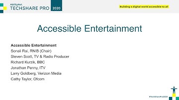TSP 2020: Accessible entertainment and media panel