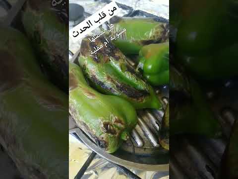 شواء فلفلة وصفة صيفية   