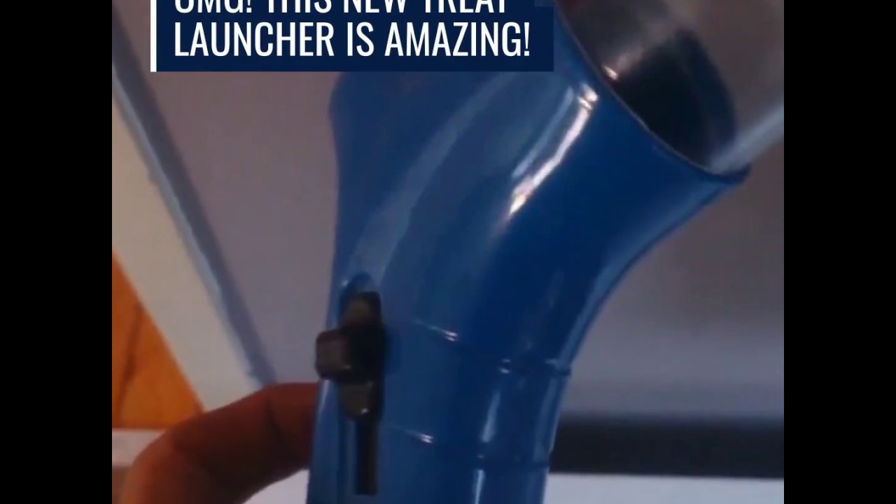 Interactive Dog Food Treat Launcher Toy - YouTube