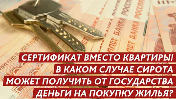 Что может получить сирота вместо квартиры