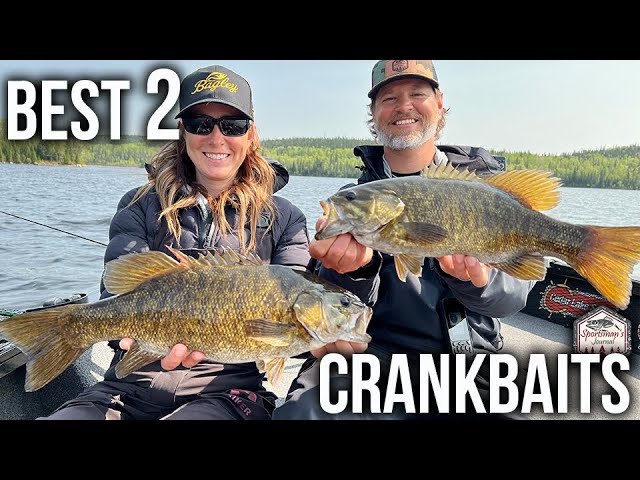 Ice Fishing Walleyes with DEADLY New Spoons!! 