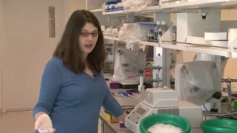 Quanto è lungo il DNA in km?